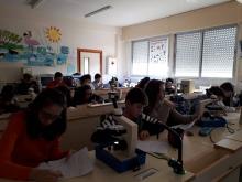 Alumnos de 1º de ESO aprendiendo a manejar el microscopio